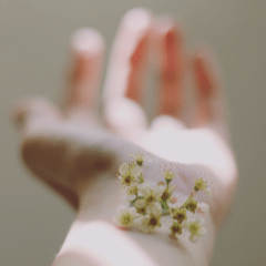 hand and flowers