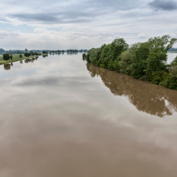 Why drinking water can be a dangerous cocktail for people in flooded Queensland and NSW